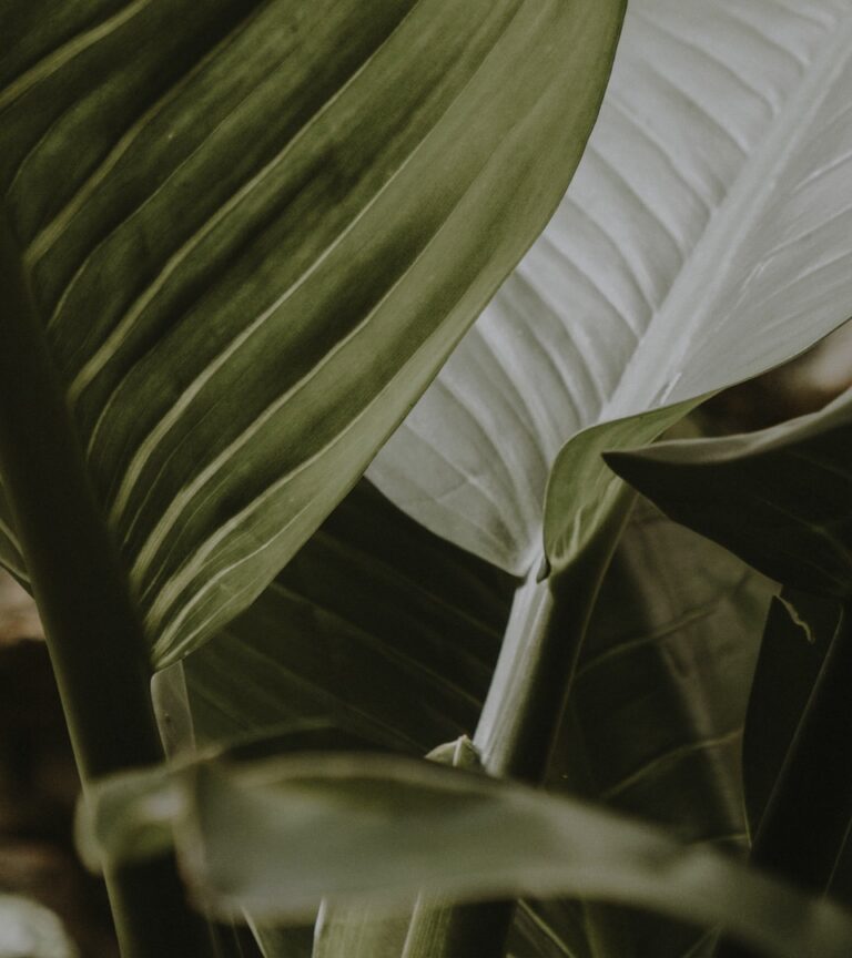 intention for fasting outside of ramadan