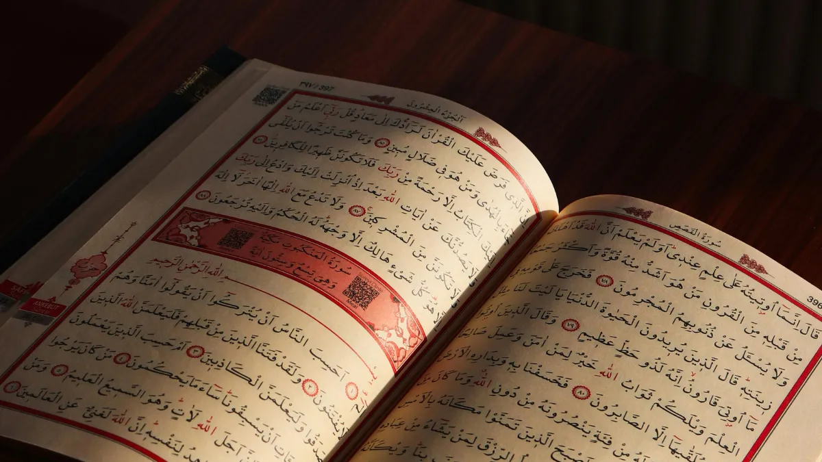 Online Quran instructor