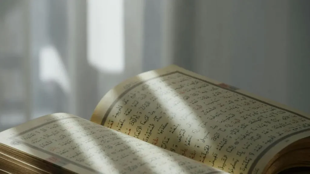 Learn Tajweed Online (1)